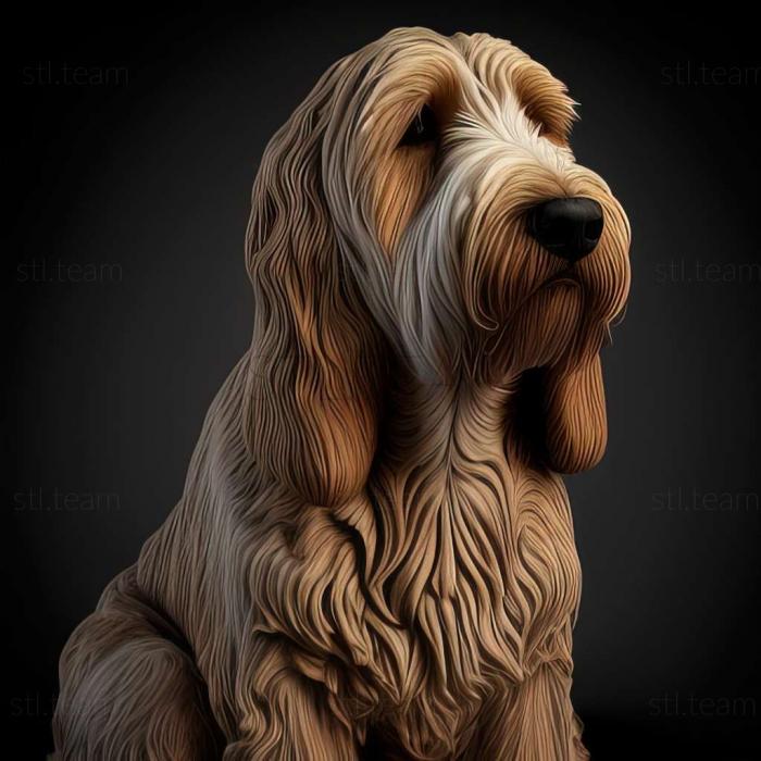 Animals Otterhound dog